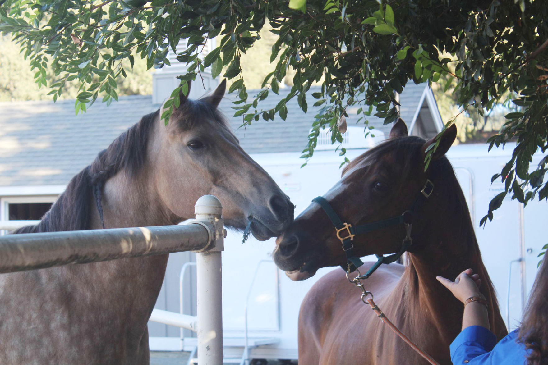 Ged and Hank